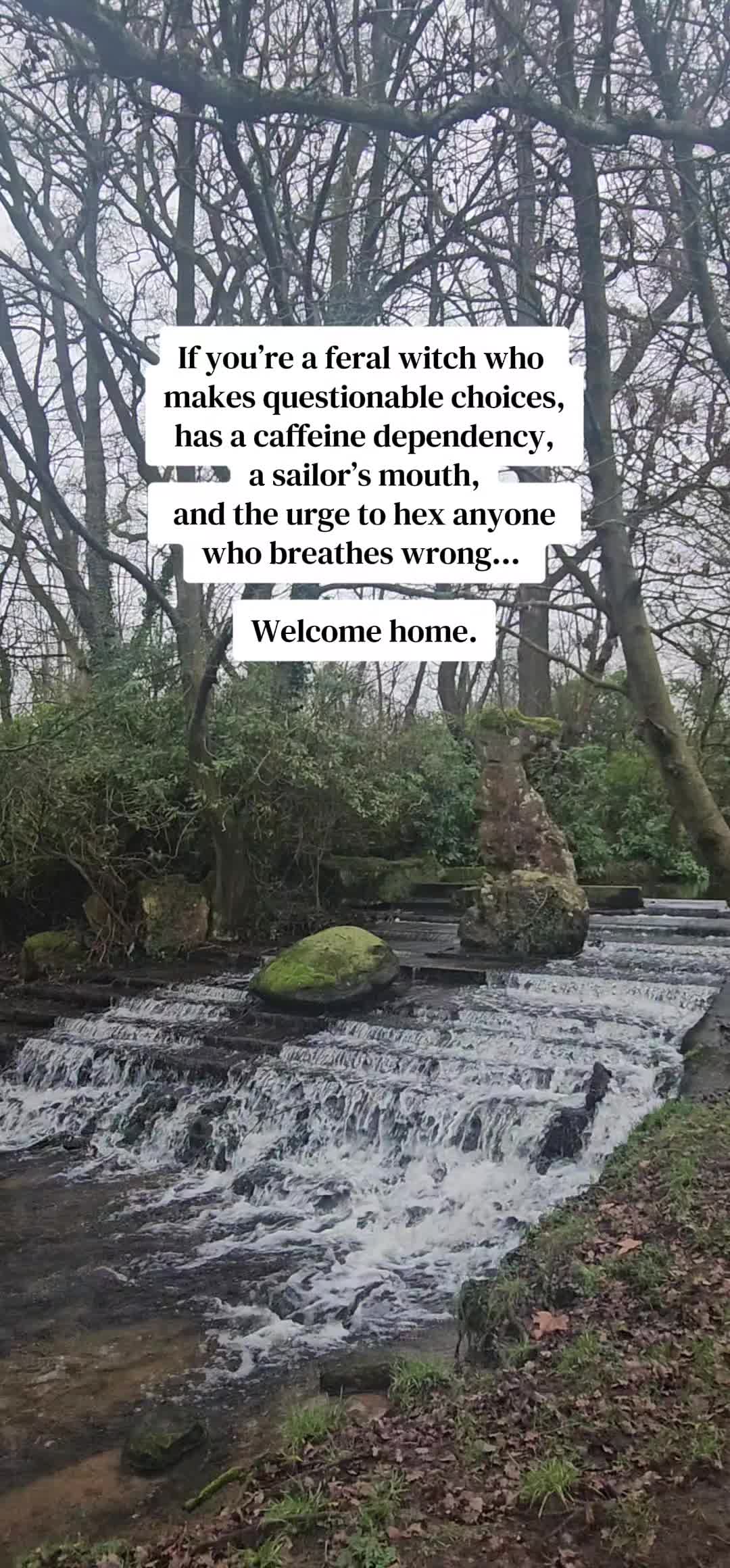 @modernwitchery444