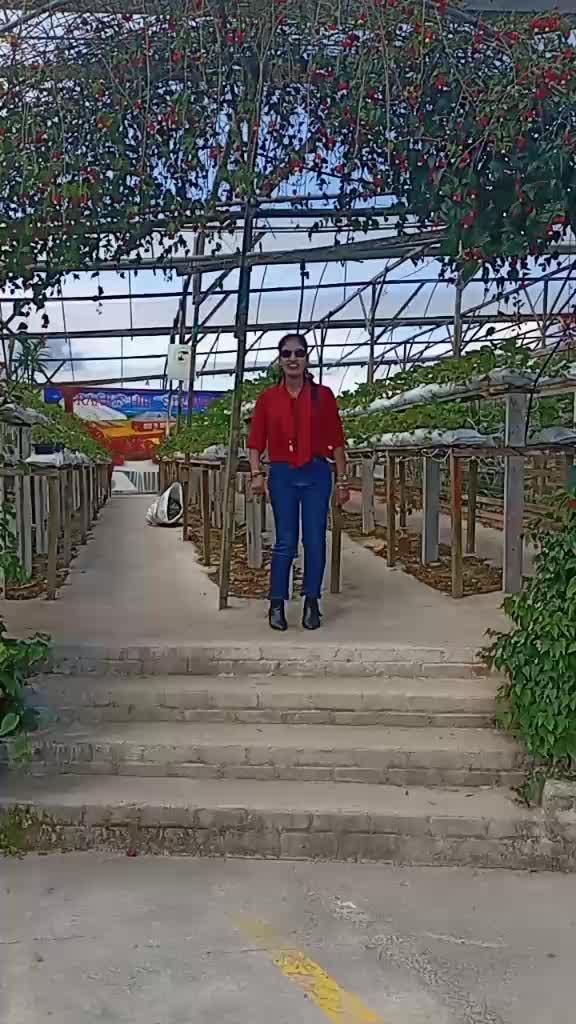 @Thanusri Thanusri