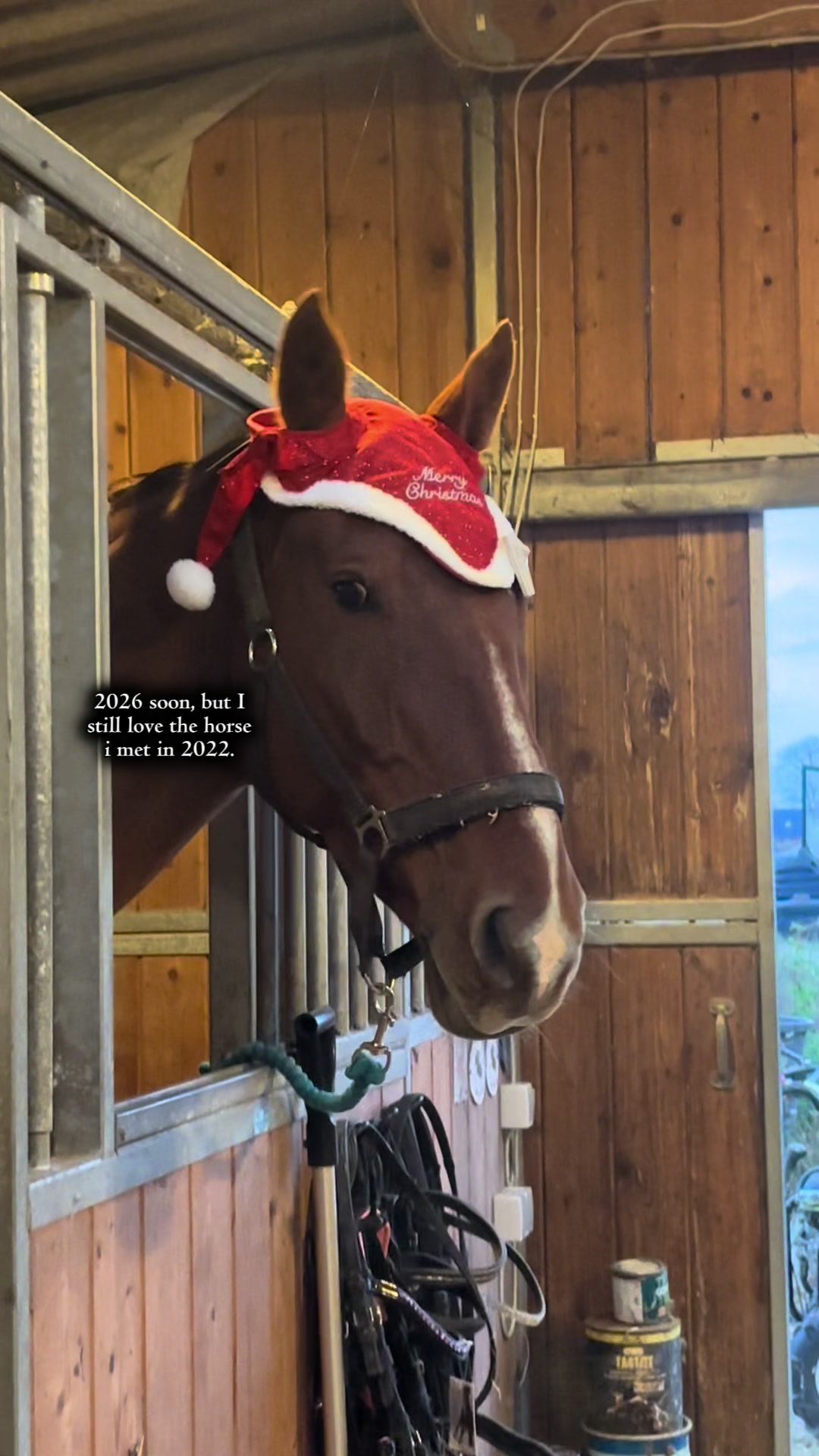 @Kv.equestrian