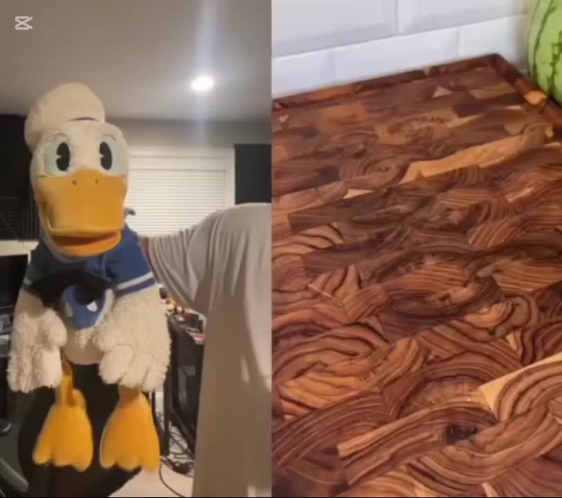 @DonaldDucc 🦆