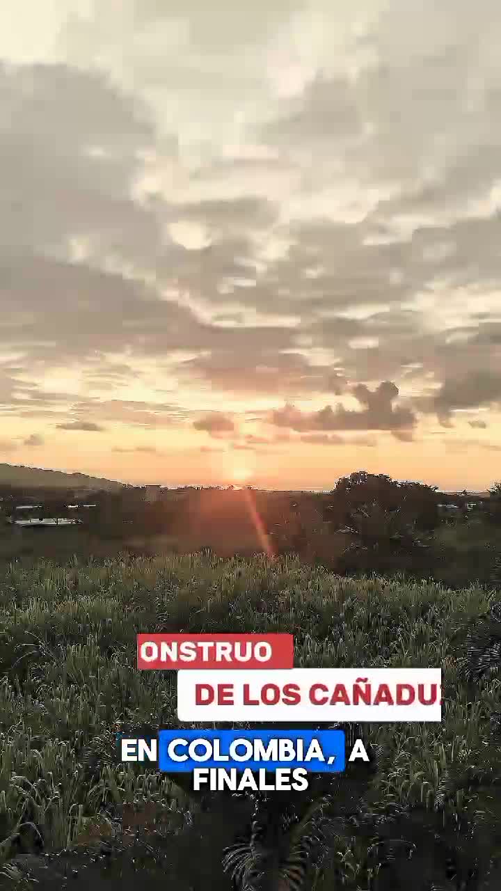 @Notitarde