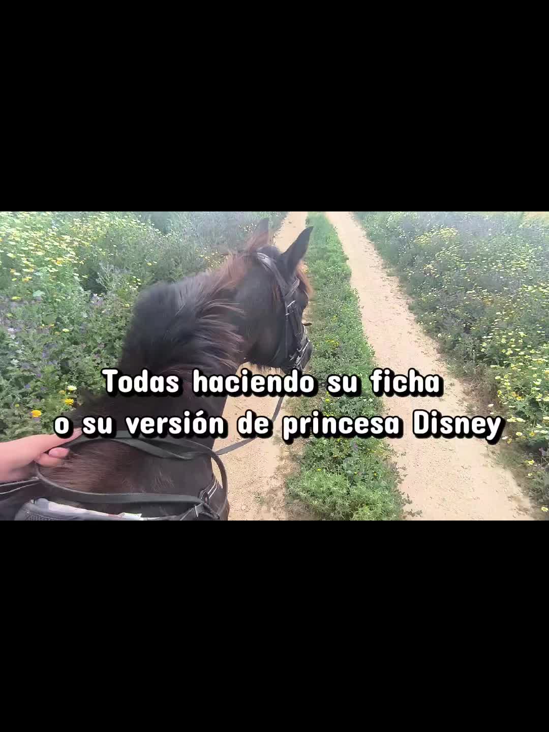 @LA CHICA DEL PONY🐴🌼