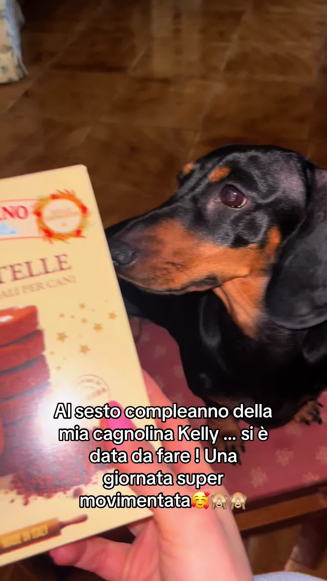 @Maria Santaniello❤️