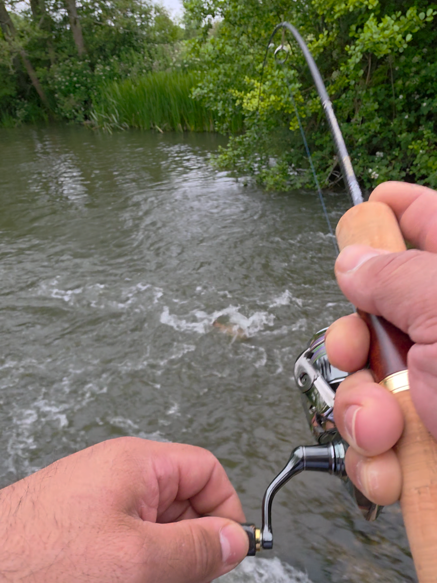 @BF Angler