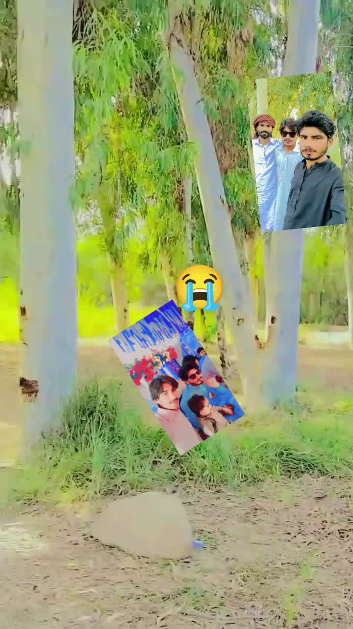 @💸 عمران خان 💸