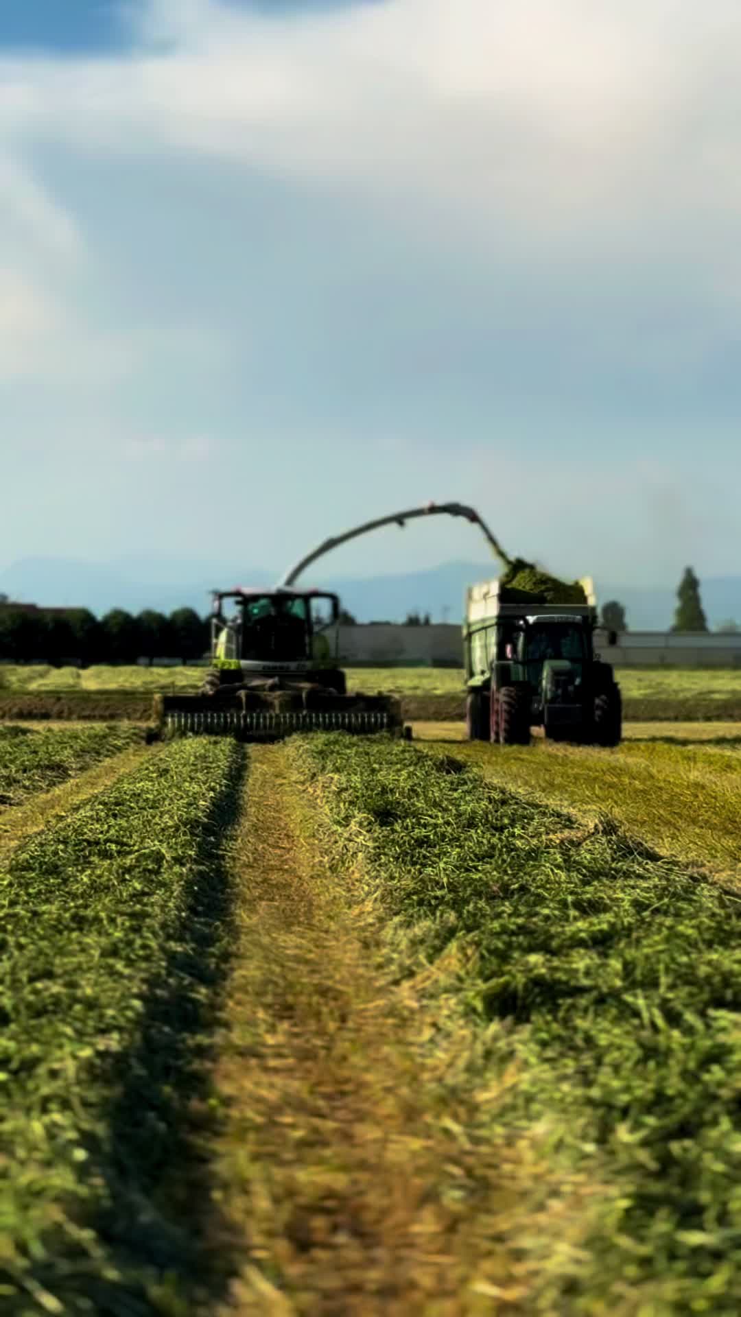 @Danota🚜