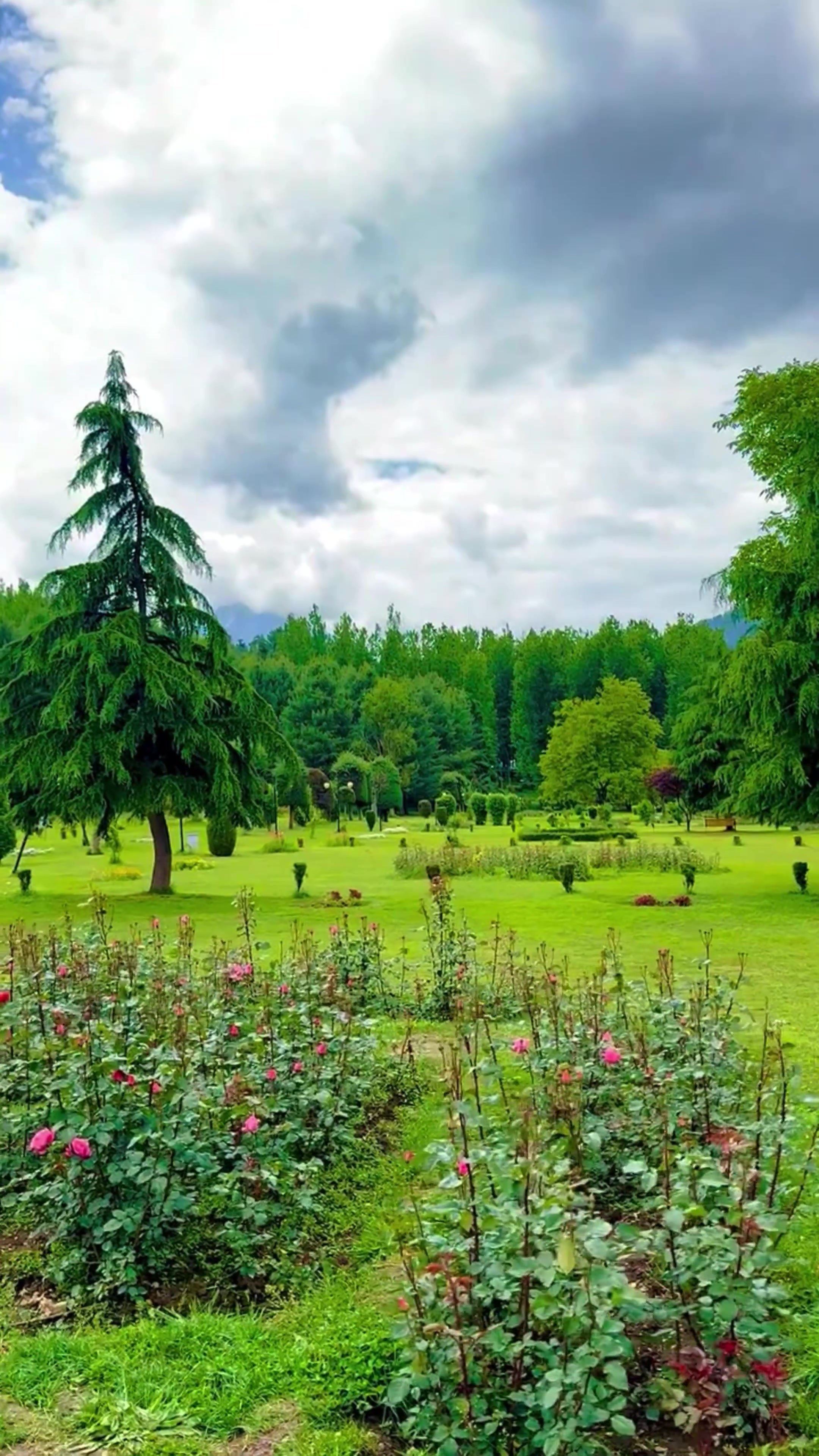 @World 🌍 beauty