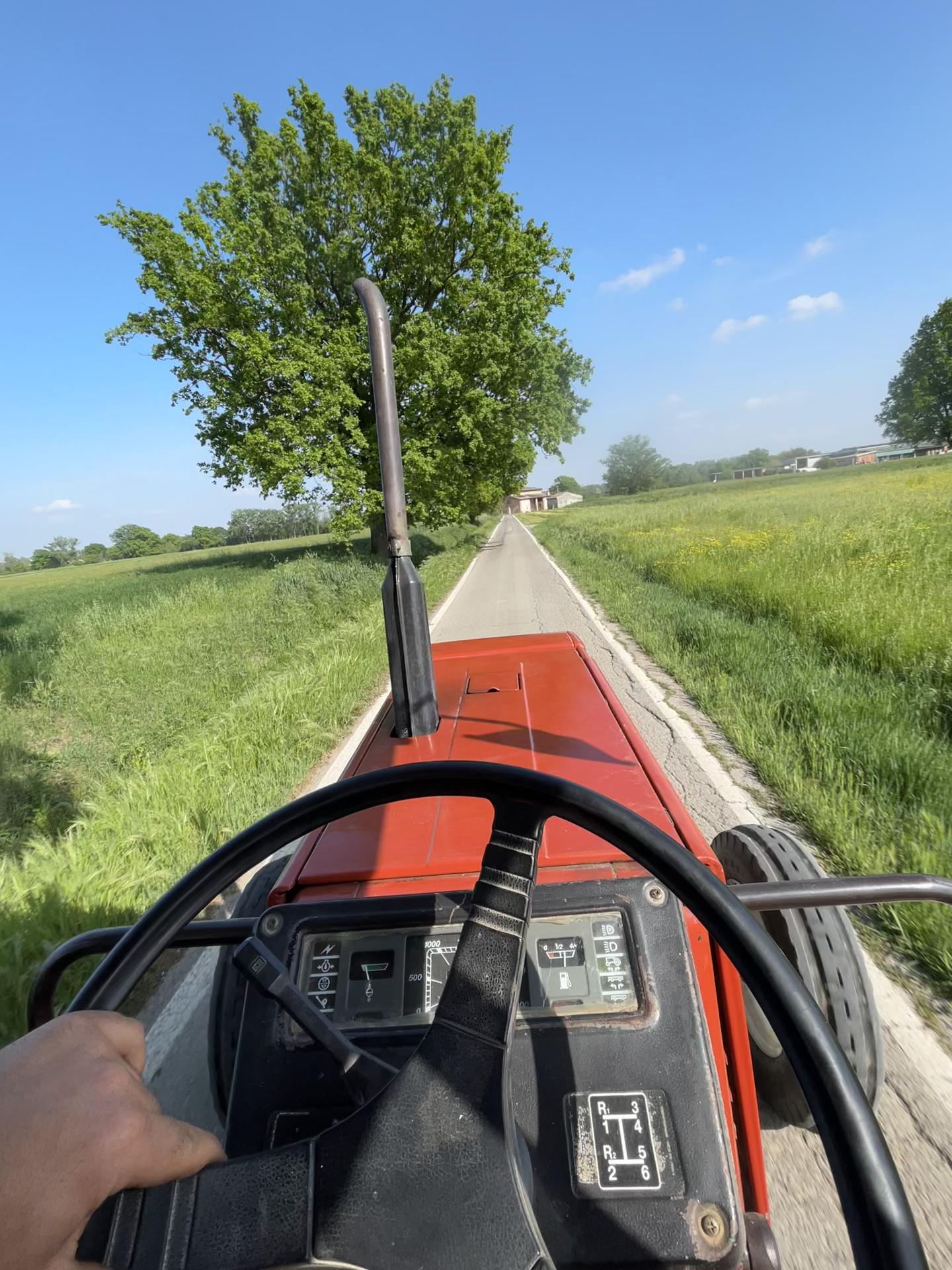 @Mirko Farmer