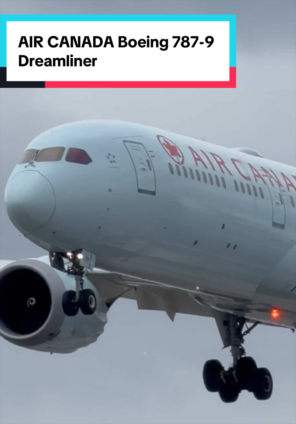 @AVIATION_YYZ_SPOTTER
