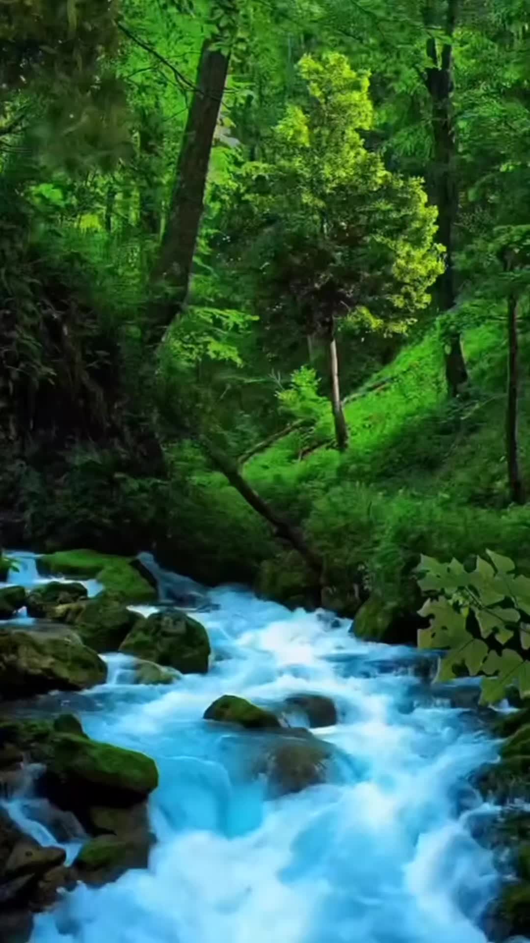 @jameszeuke905