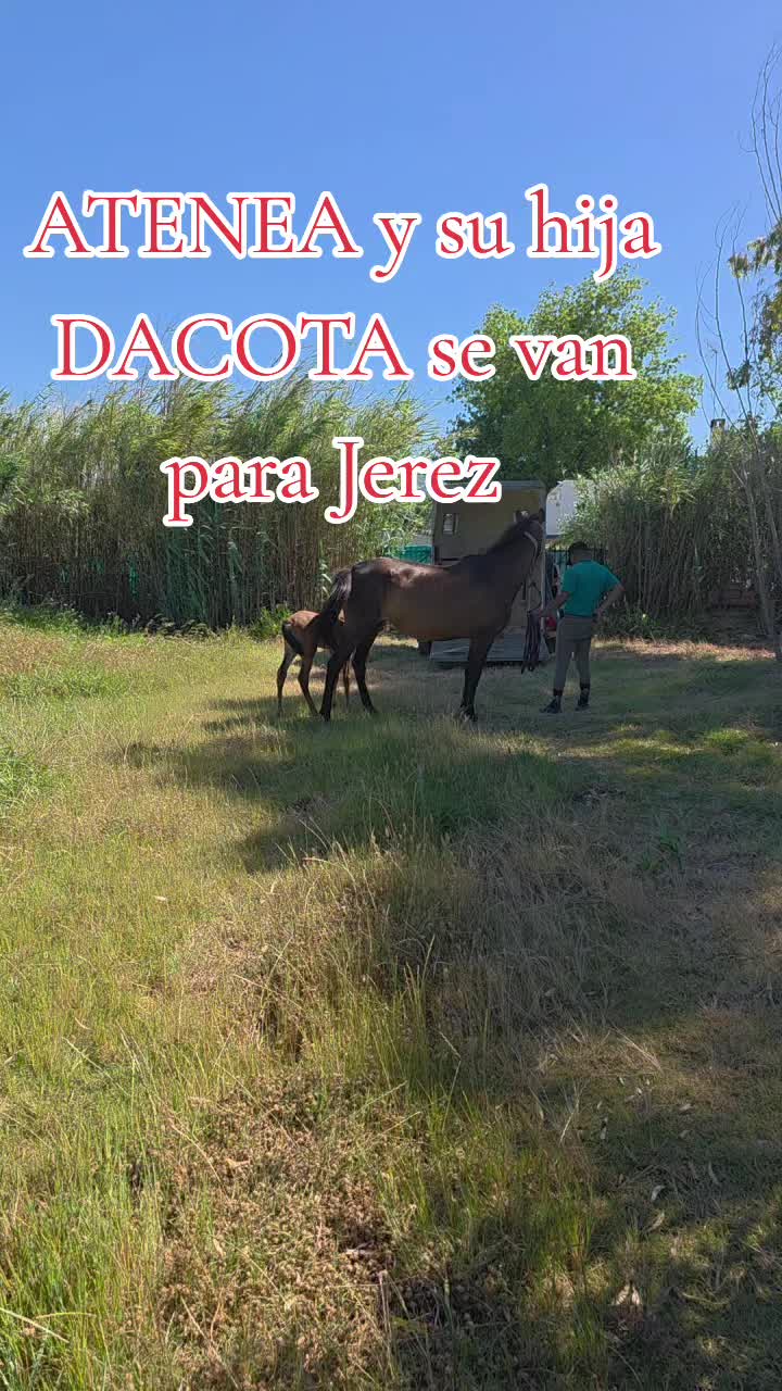 @@rinconlatino