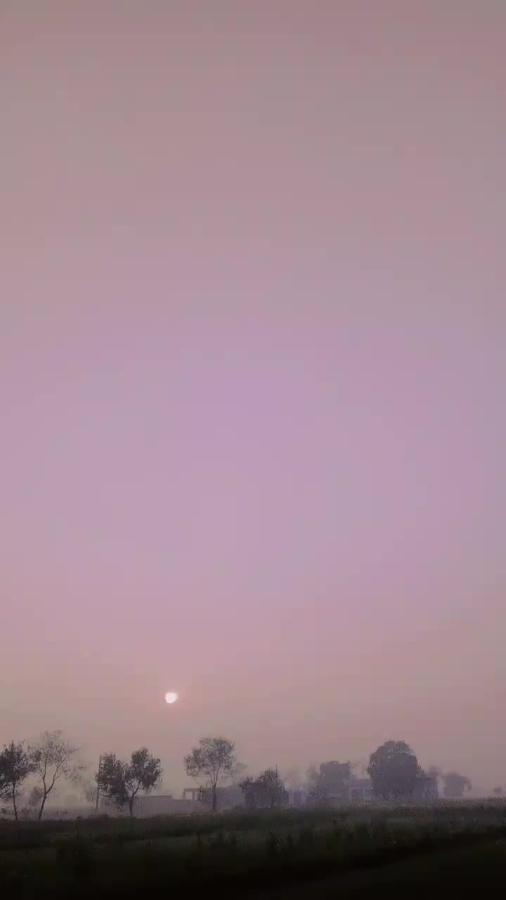 @Hadi Shab