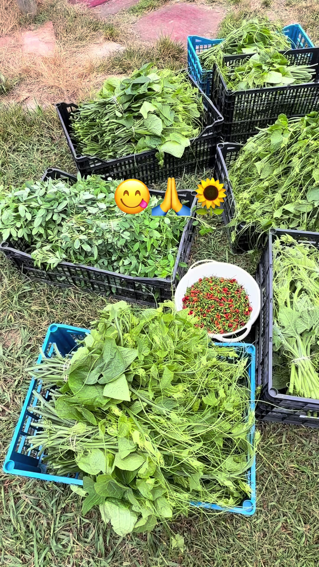 @Marta Raymundo👩🍳🇬🇹🥀🌺🌻