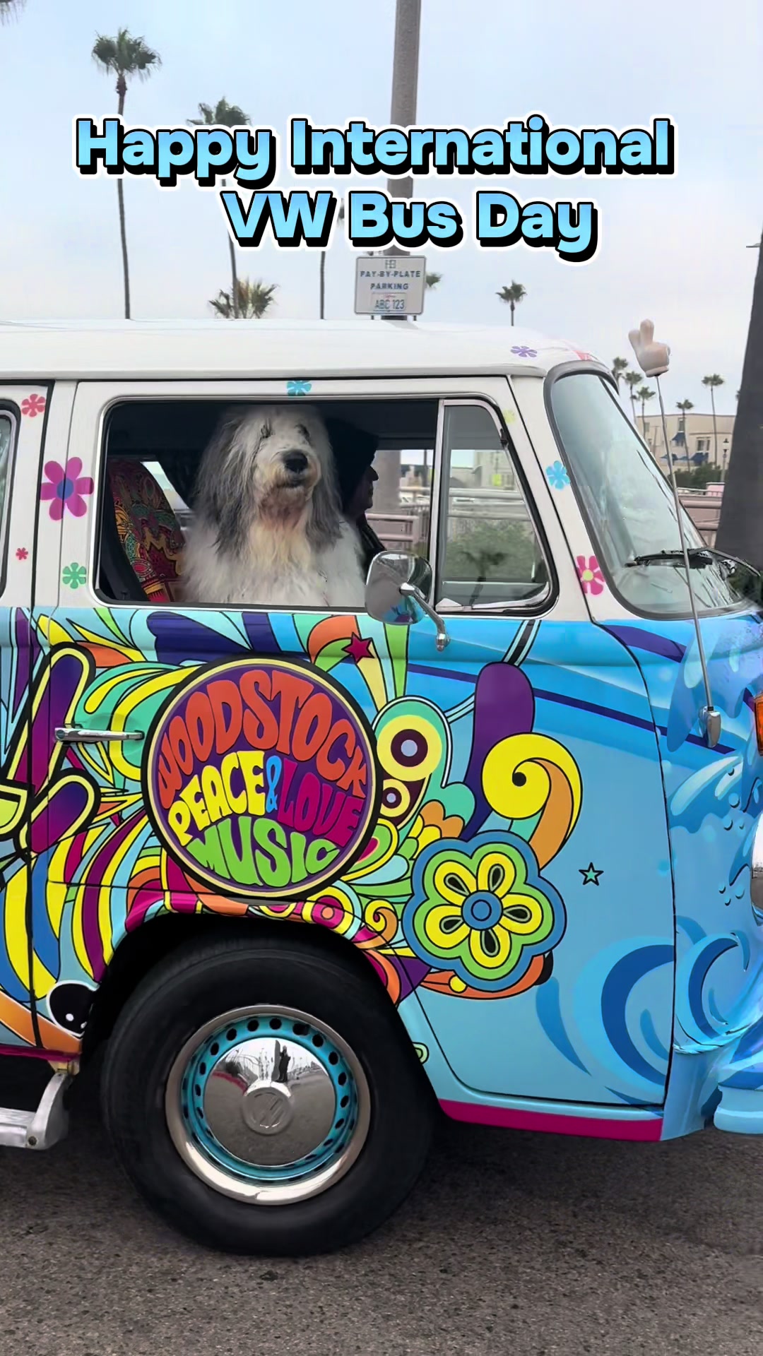 @Bowie ☮️❤️🚎😃