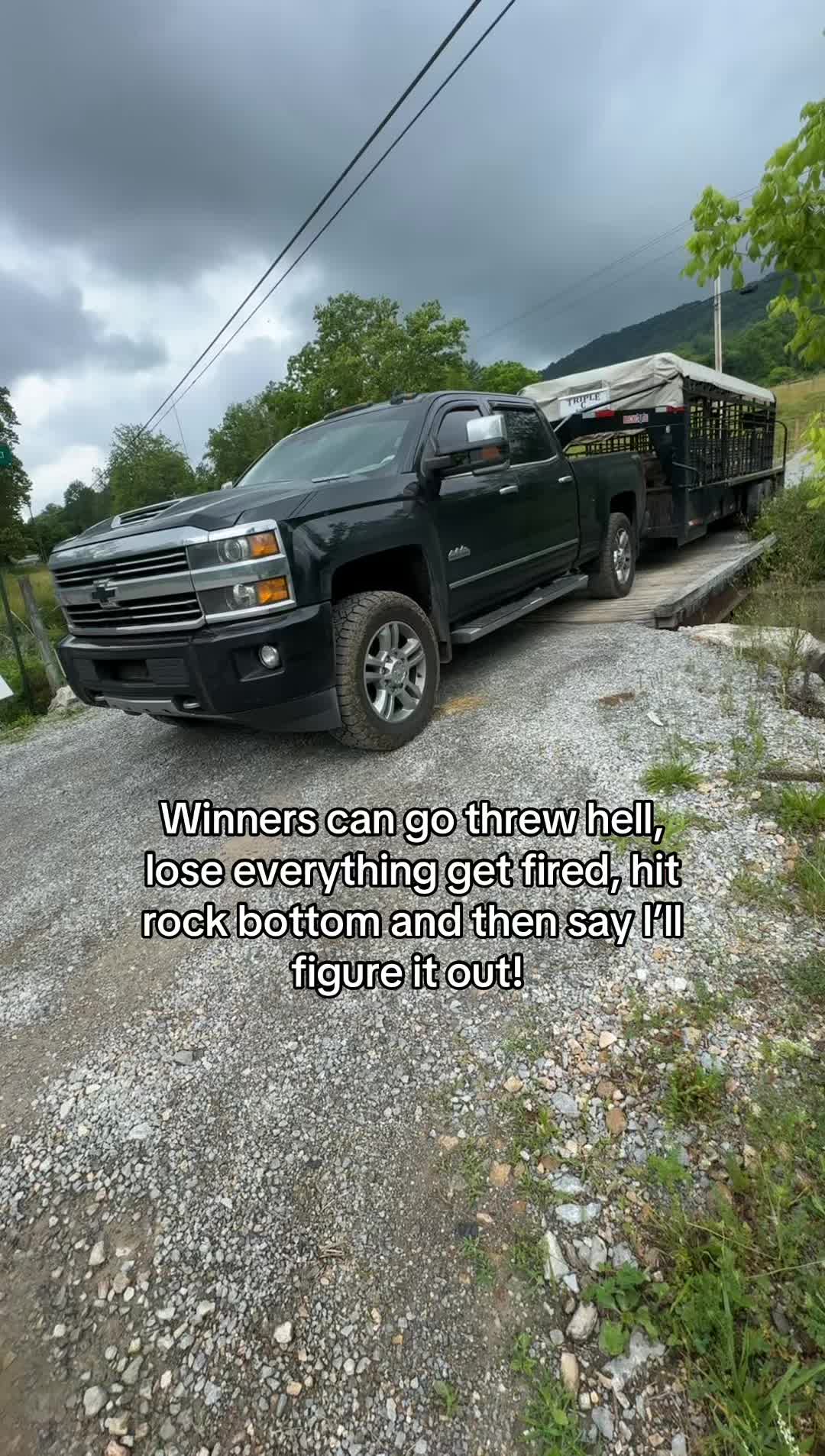 @tripleclivestock