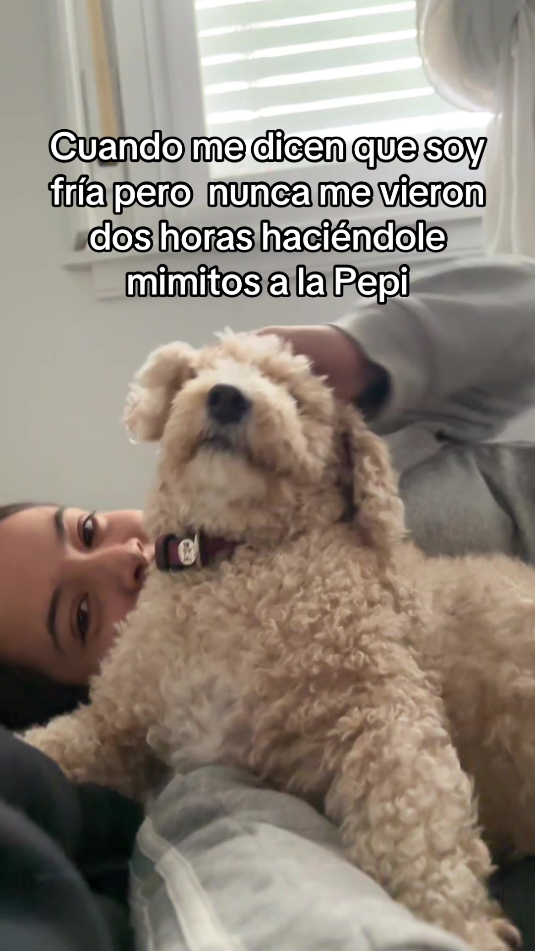 @agustinaschachtl