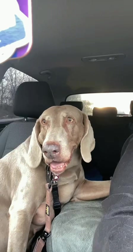 @Marley..🐾❤️