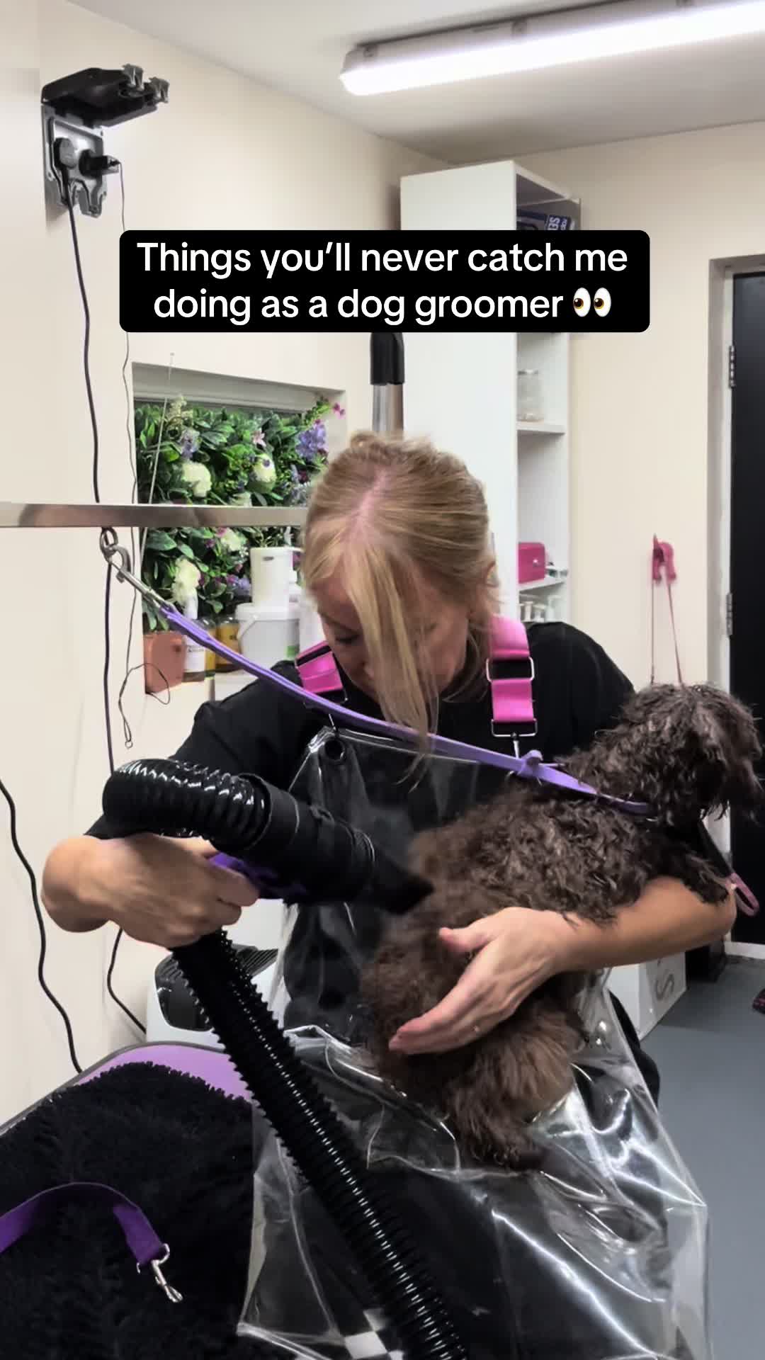 @Poochiepoosdoggrooming