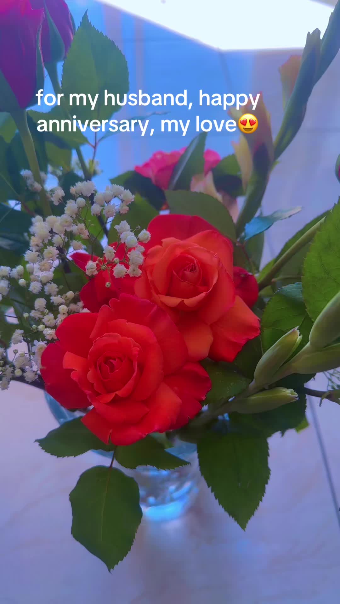@noorsister1