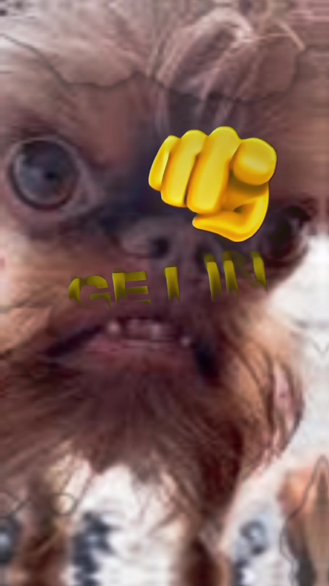@Frxy