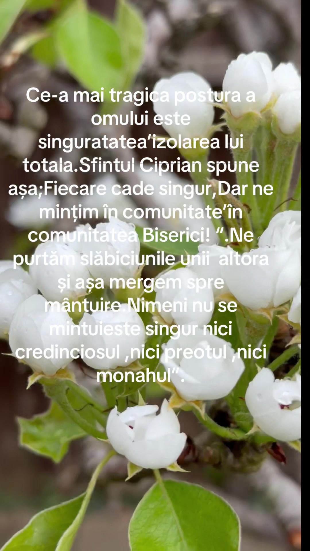 @Mari Mariana