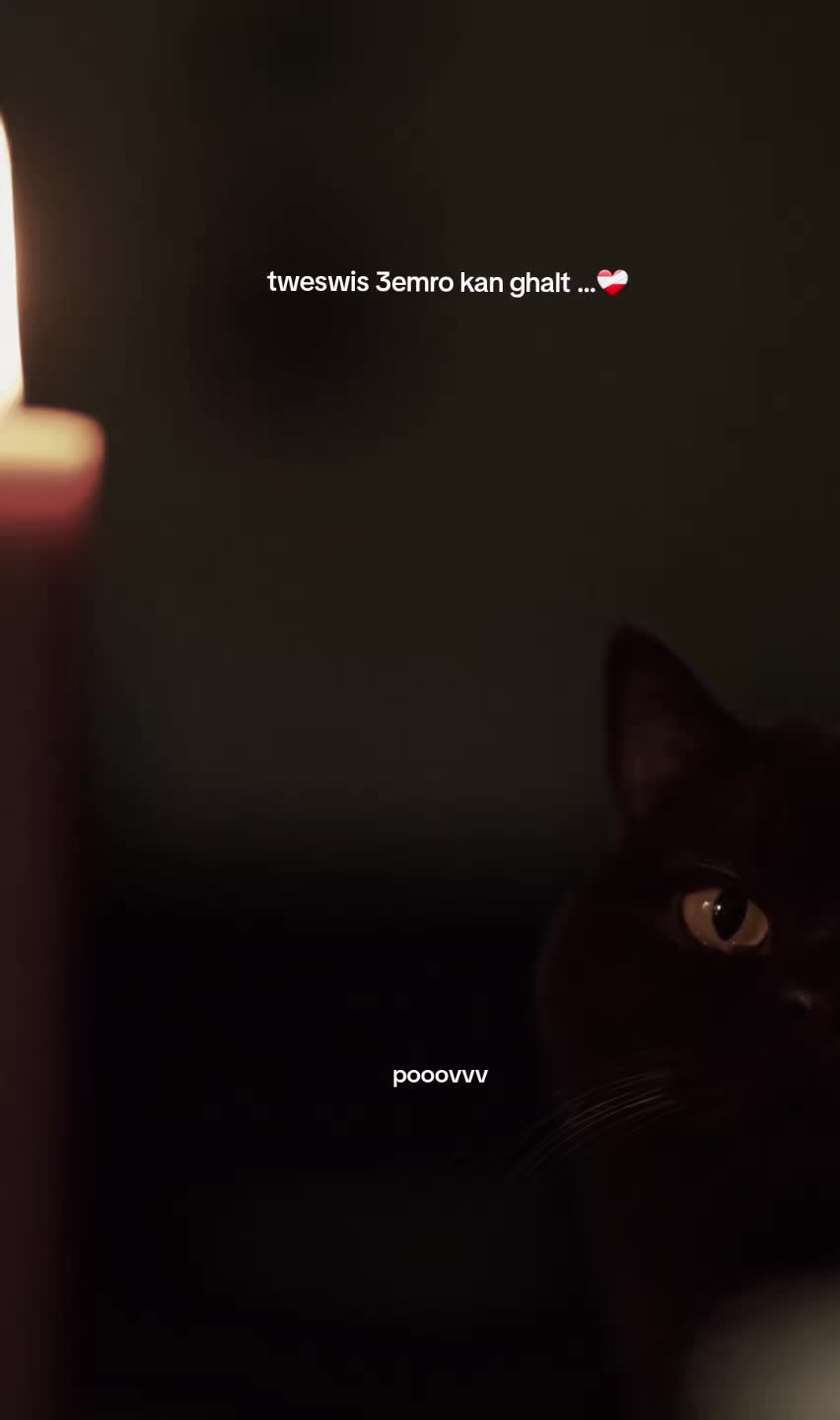 @pooovvv