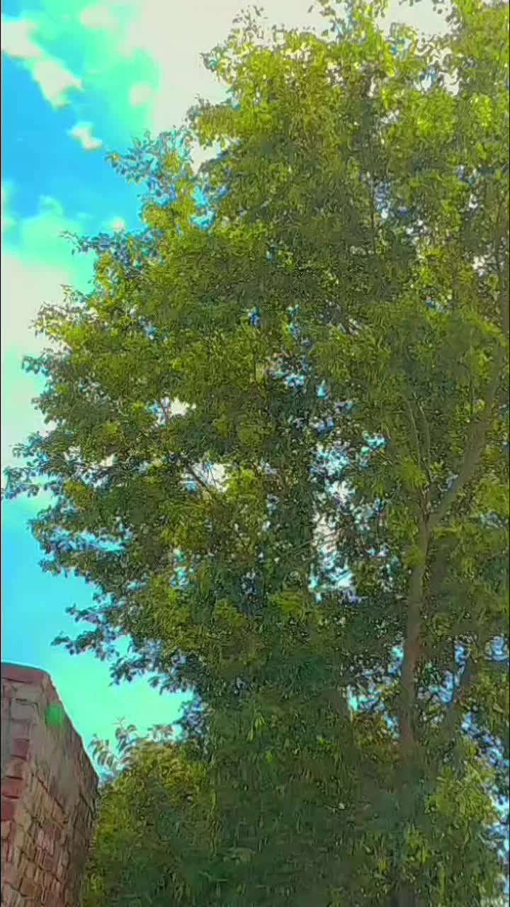 @🥷اناپرست۔جٹ🦅