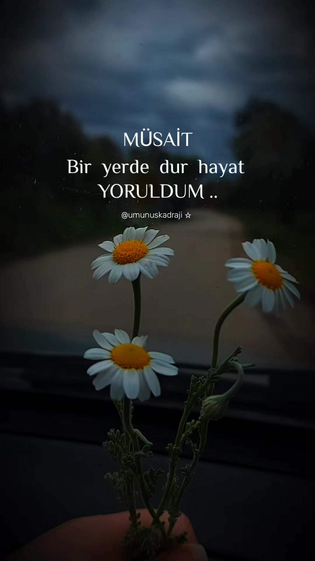 @ümünüş'ün kadrajı