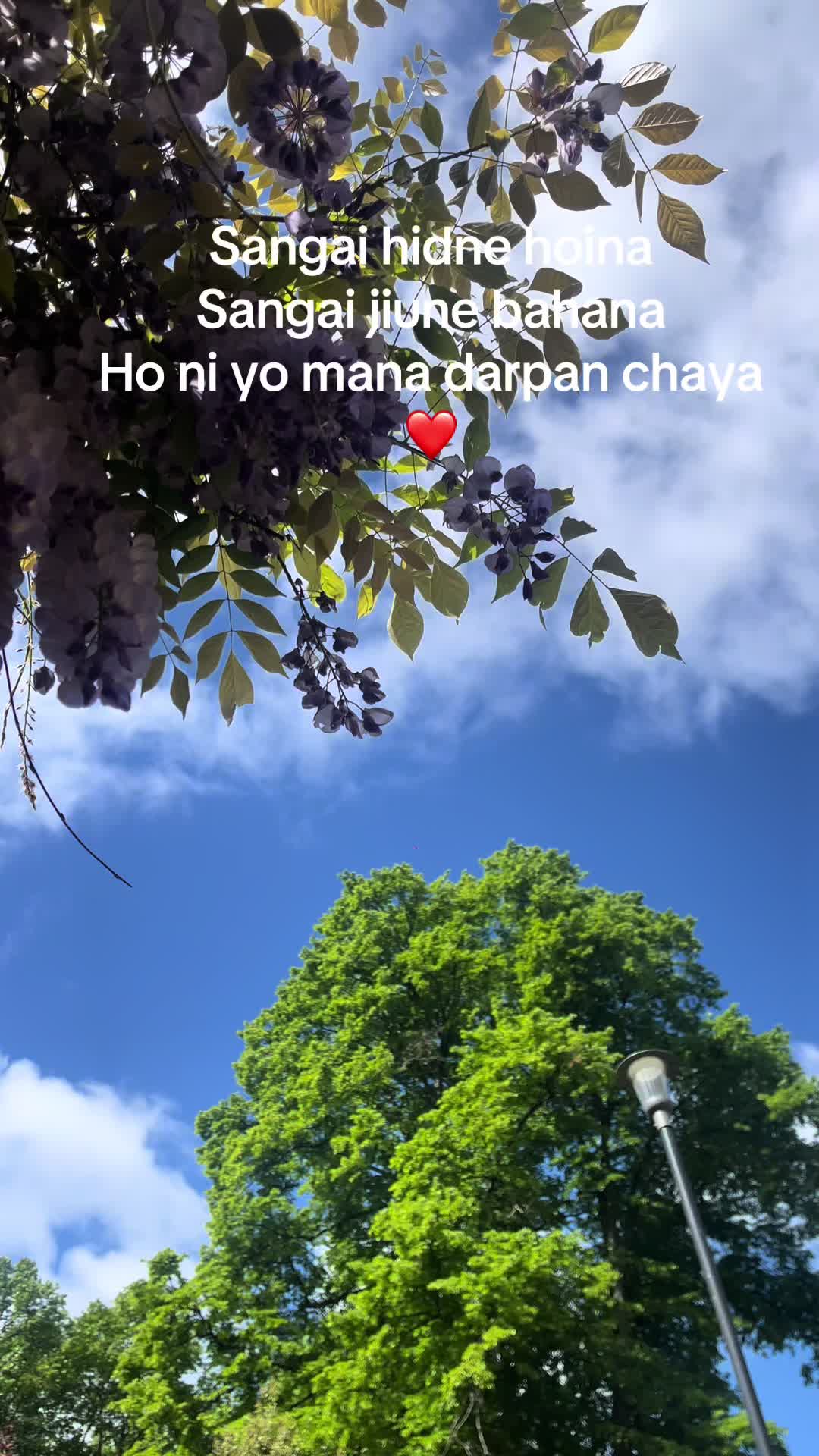 @Rita limbuni