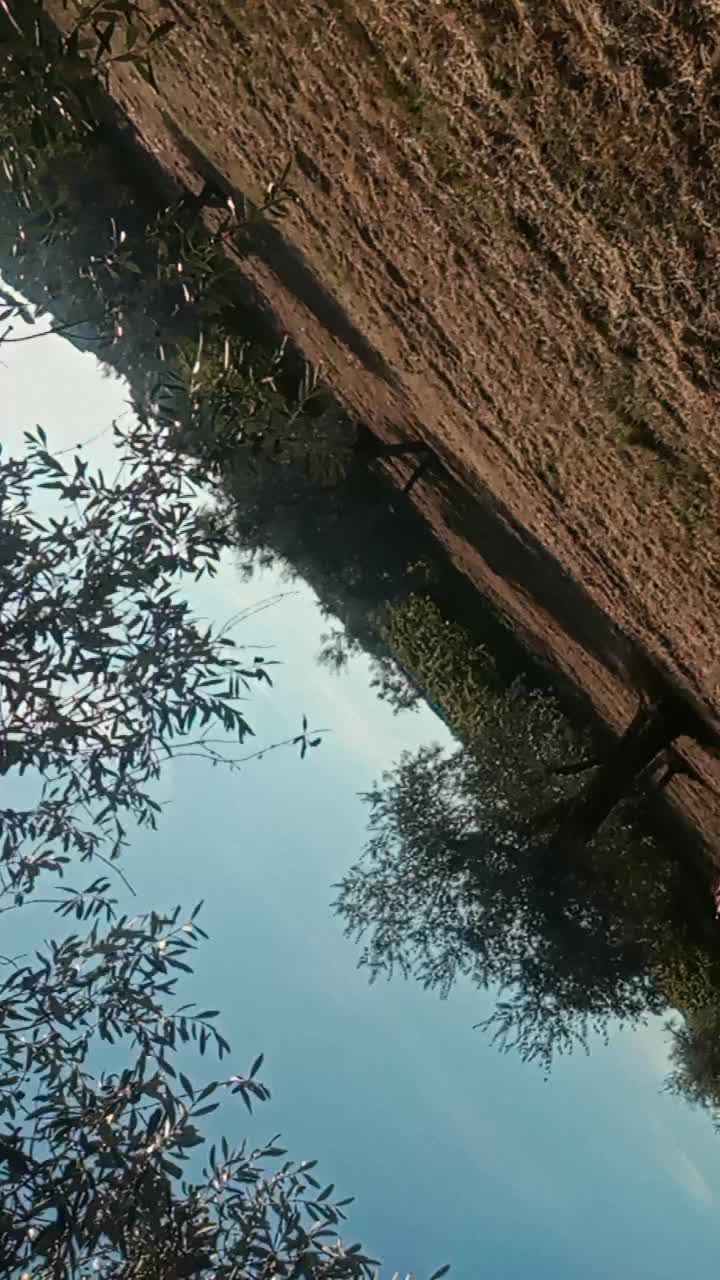 @ROSAROSSA