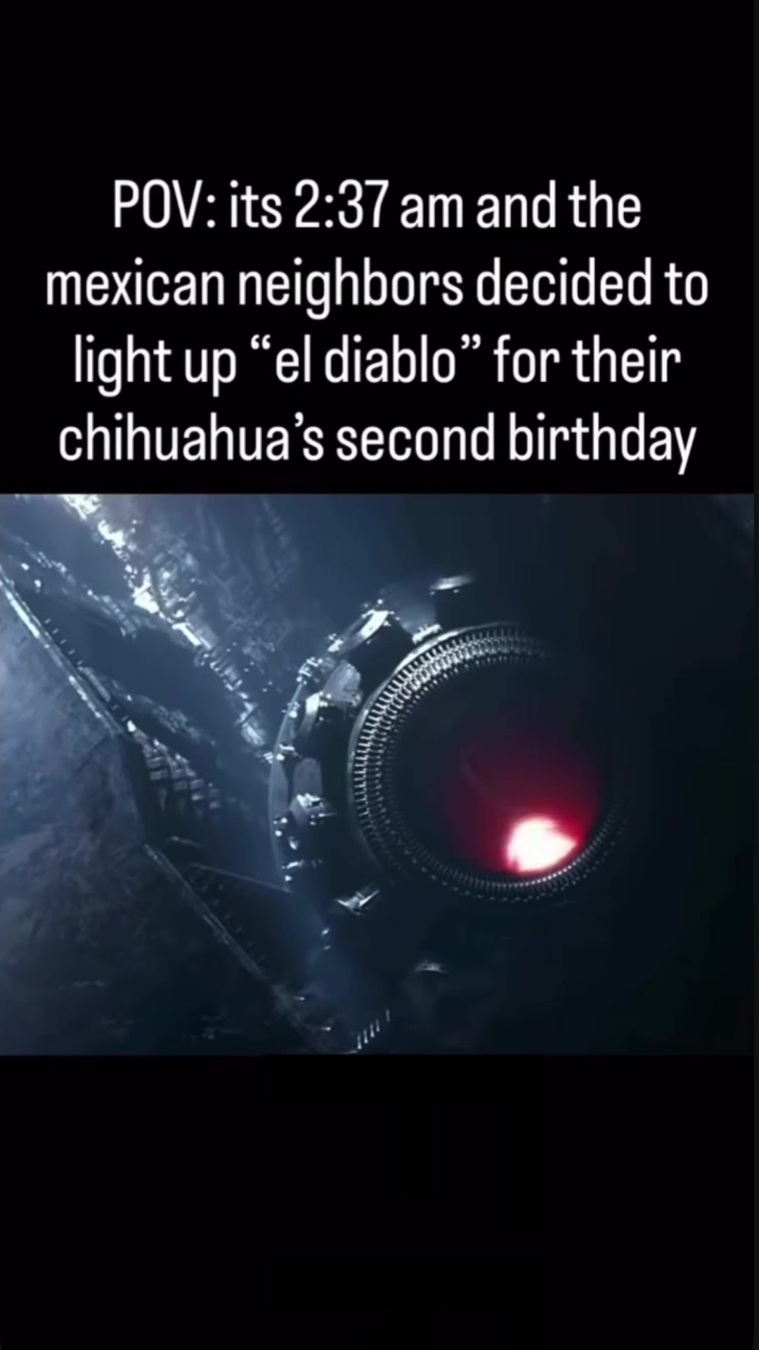 @xxpiratecaptainmemeszxx