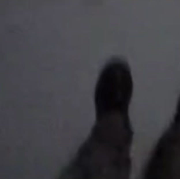 @hyeeee