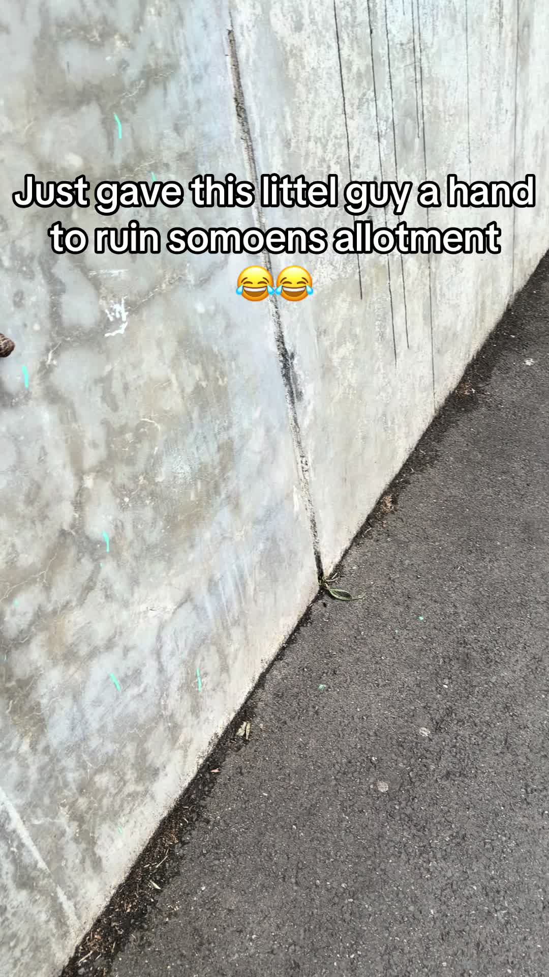 @GEEALBO🇦🇱🇬🇧