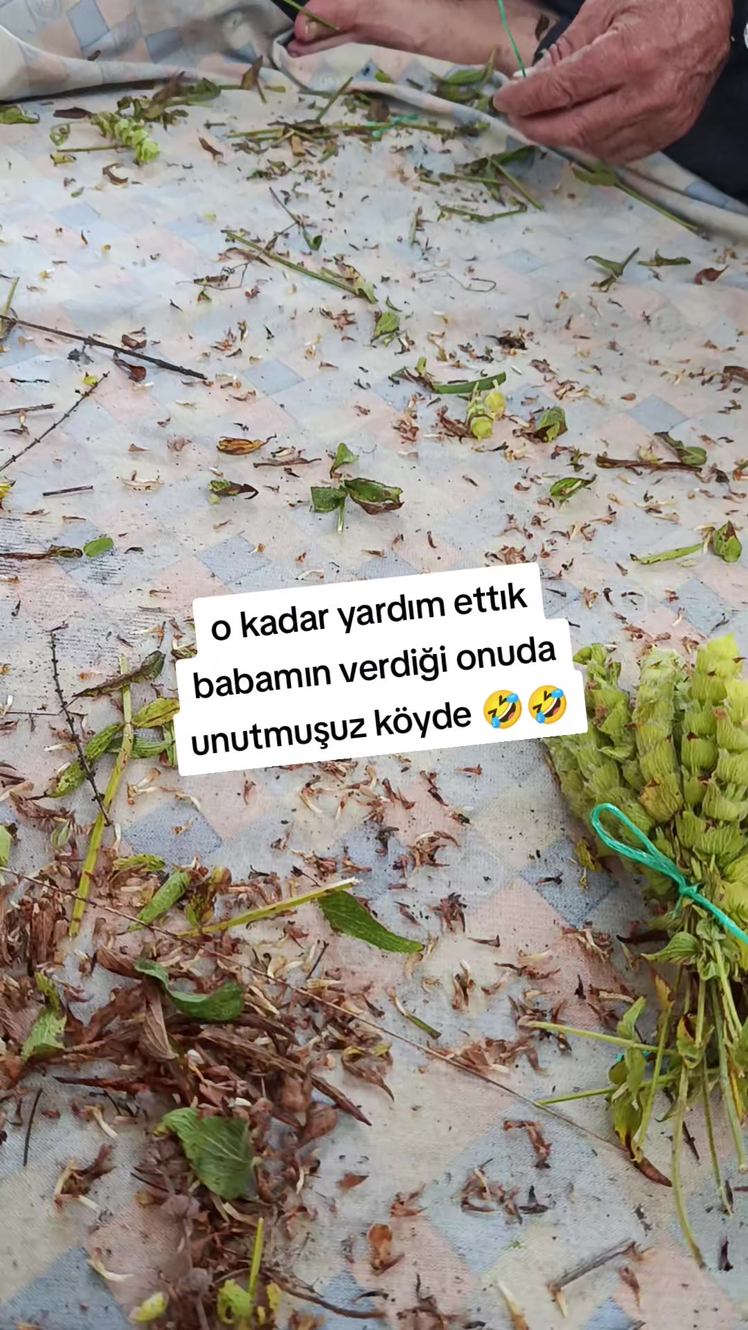 @aslsungur4