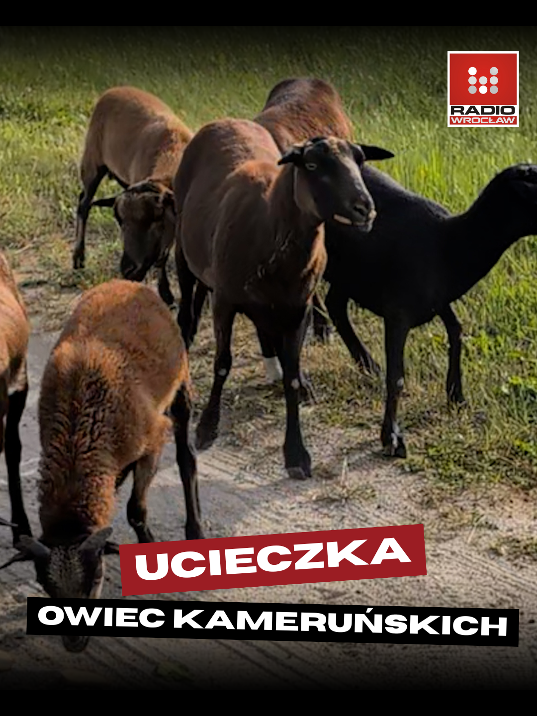 @Radio z Dolnego Śląska