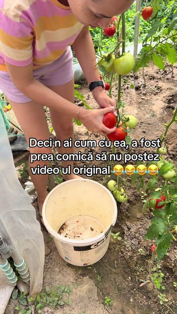 @Diana Andreea