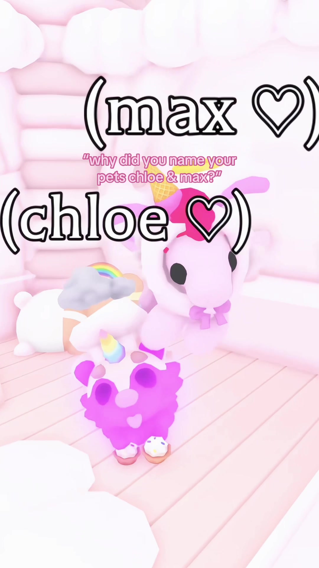 @paw 𑣲