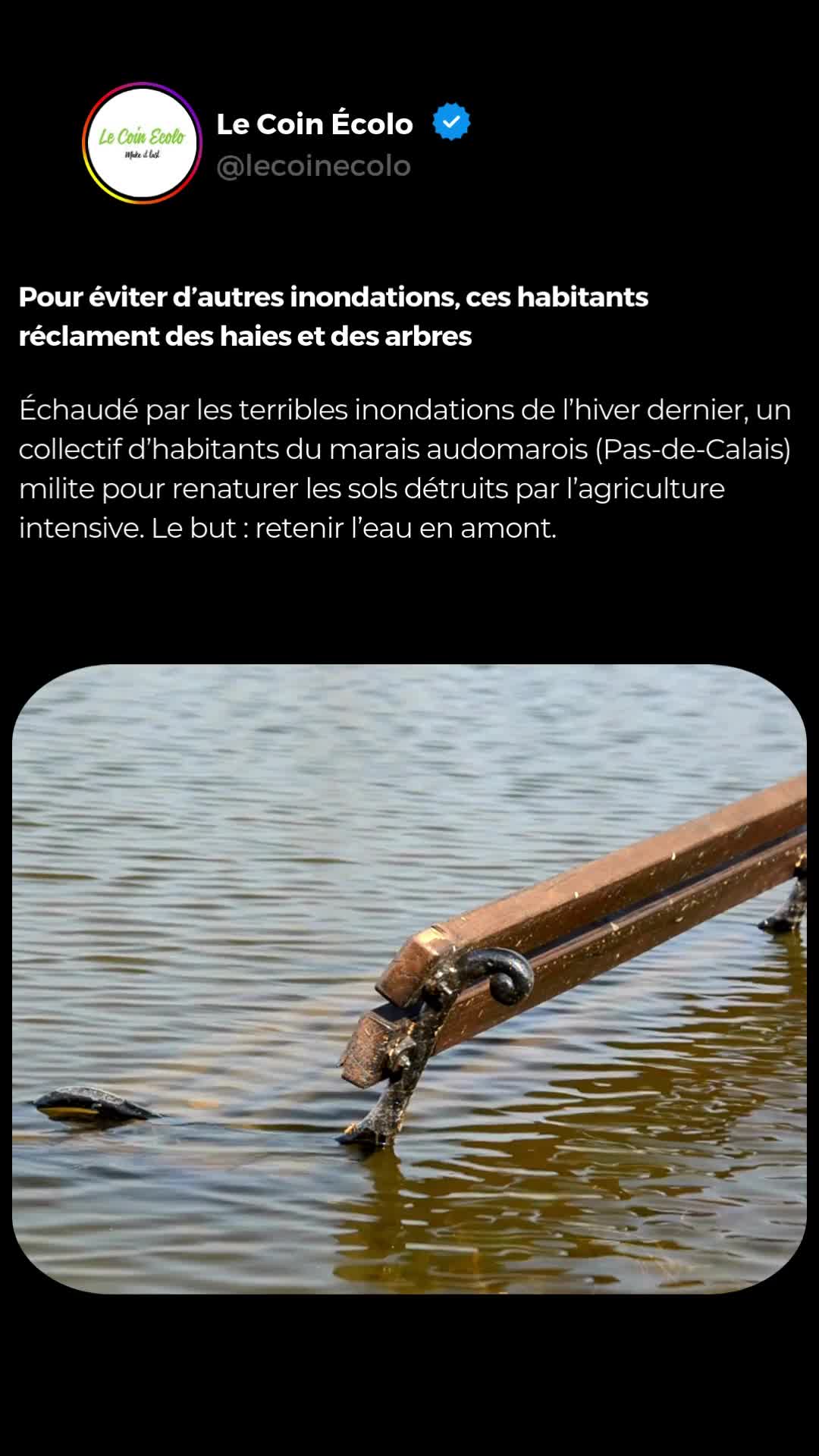 @Le Coin &Eacute;colo