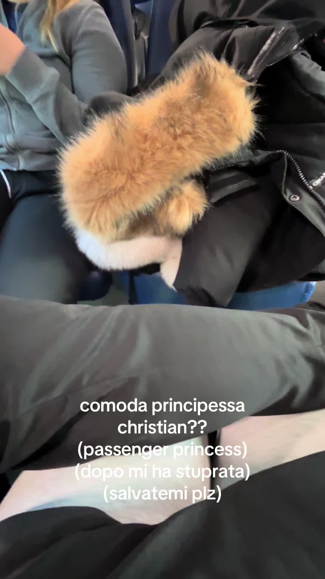 @chrichri