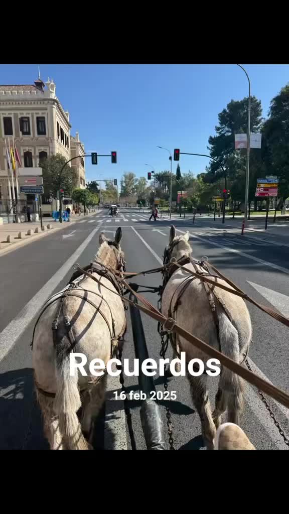 @palilajm