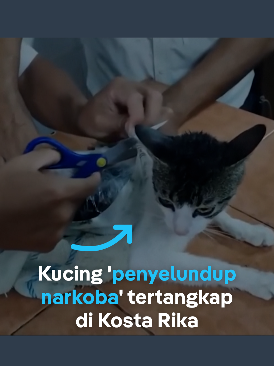 @DW Indonesia
