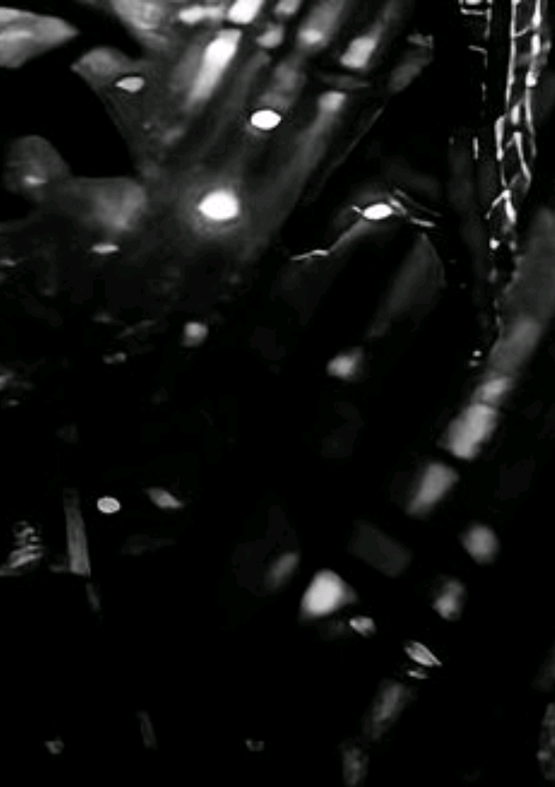 @𝐓𝐡𝐫𝐞𝐞𝟎𝟑.𝐌𝐮𝐬𝐢𝐜