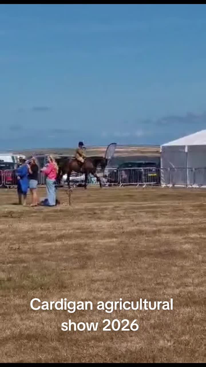 @Jamjam