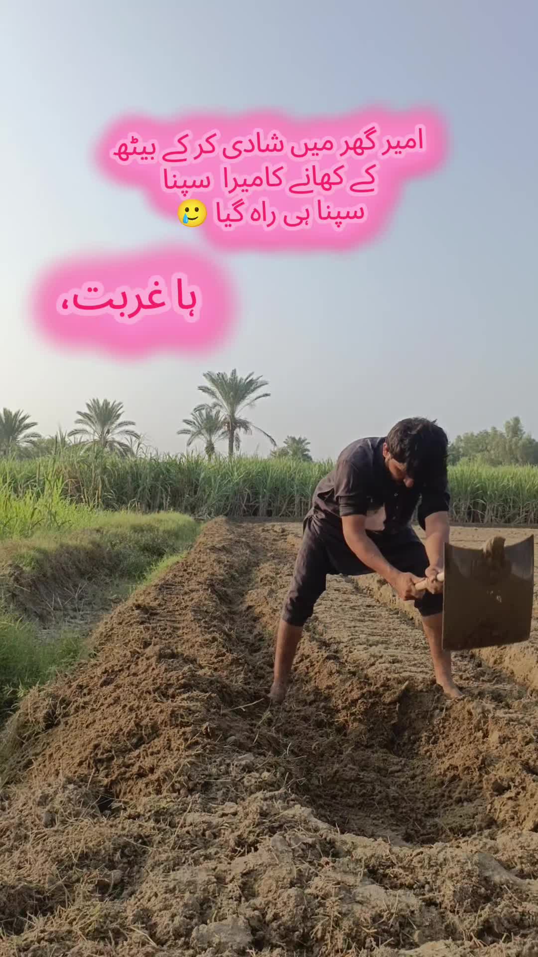 @گُڈو بادشاہ