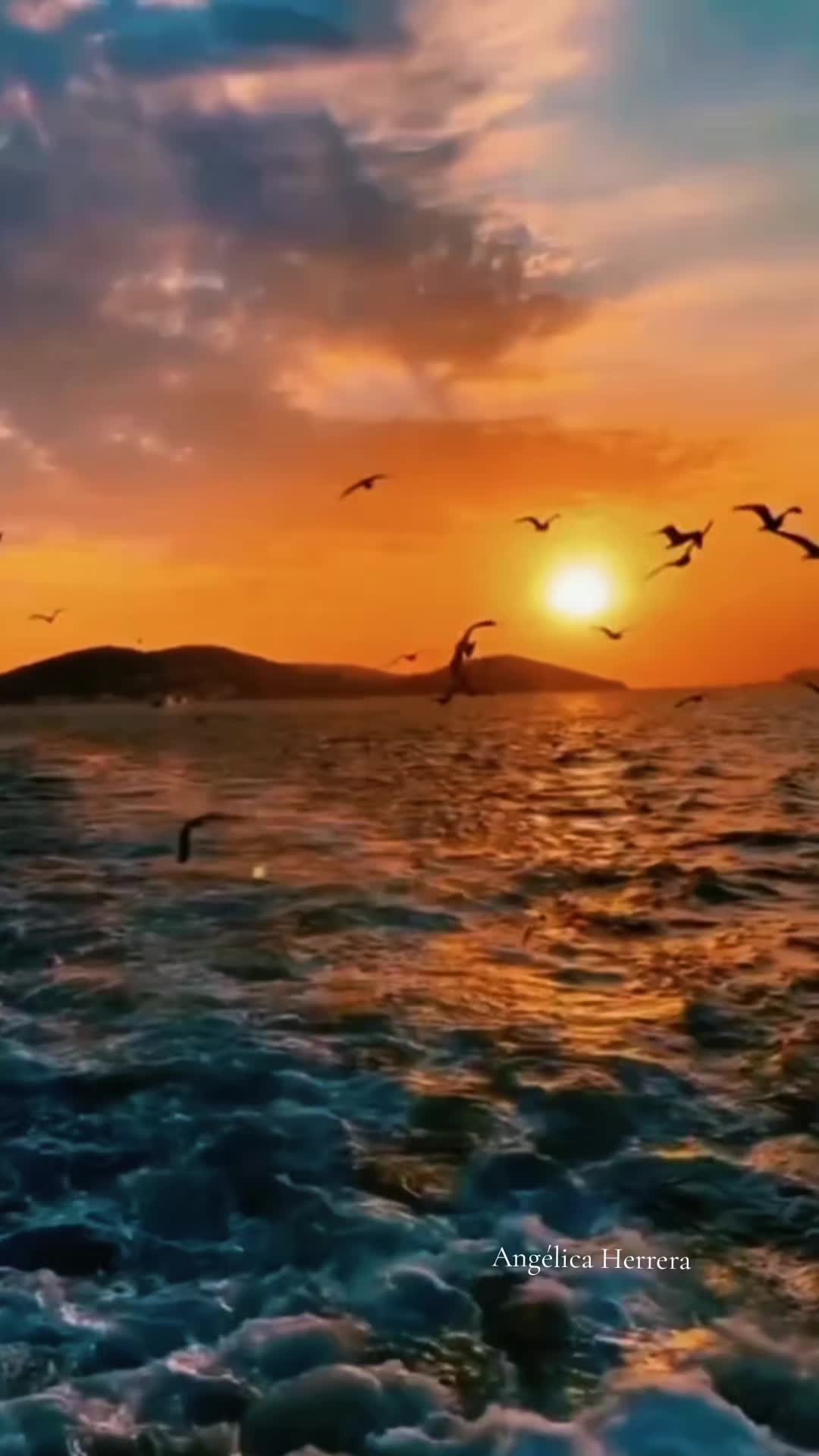 @𝐀𝐧𝐠𝐞𝐥𝐢𝐜𝐚𝐇𝐞𝐫𝐫𝐞𝐫𝐚