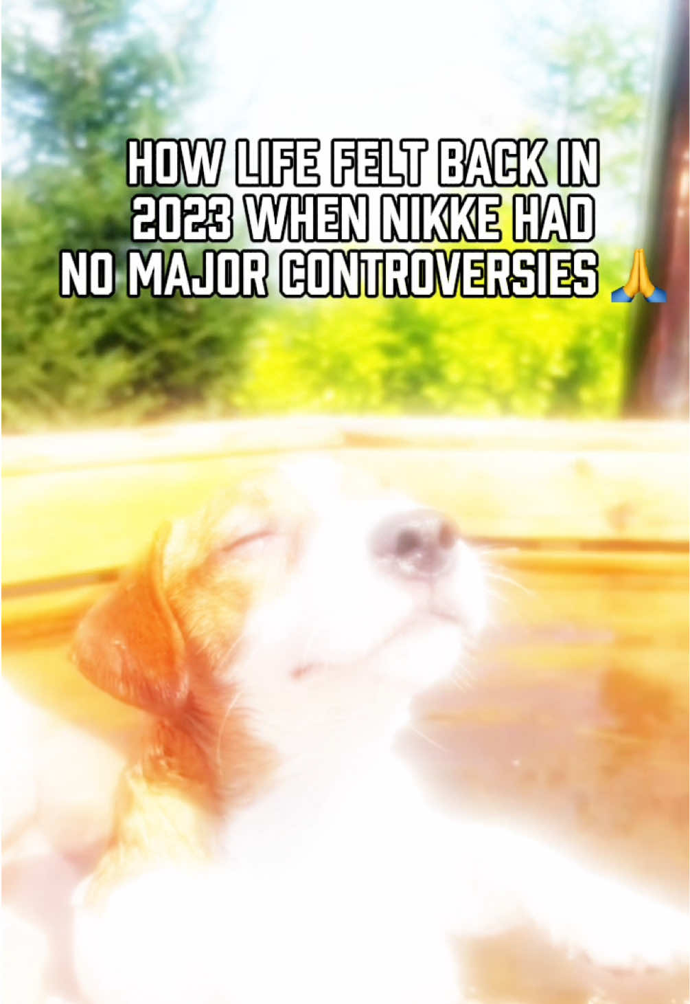 @Huevos-NIKKE