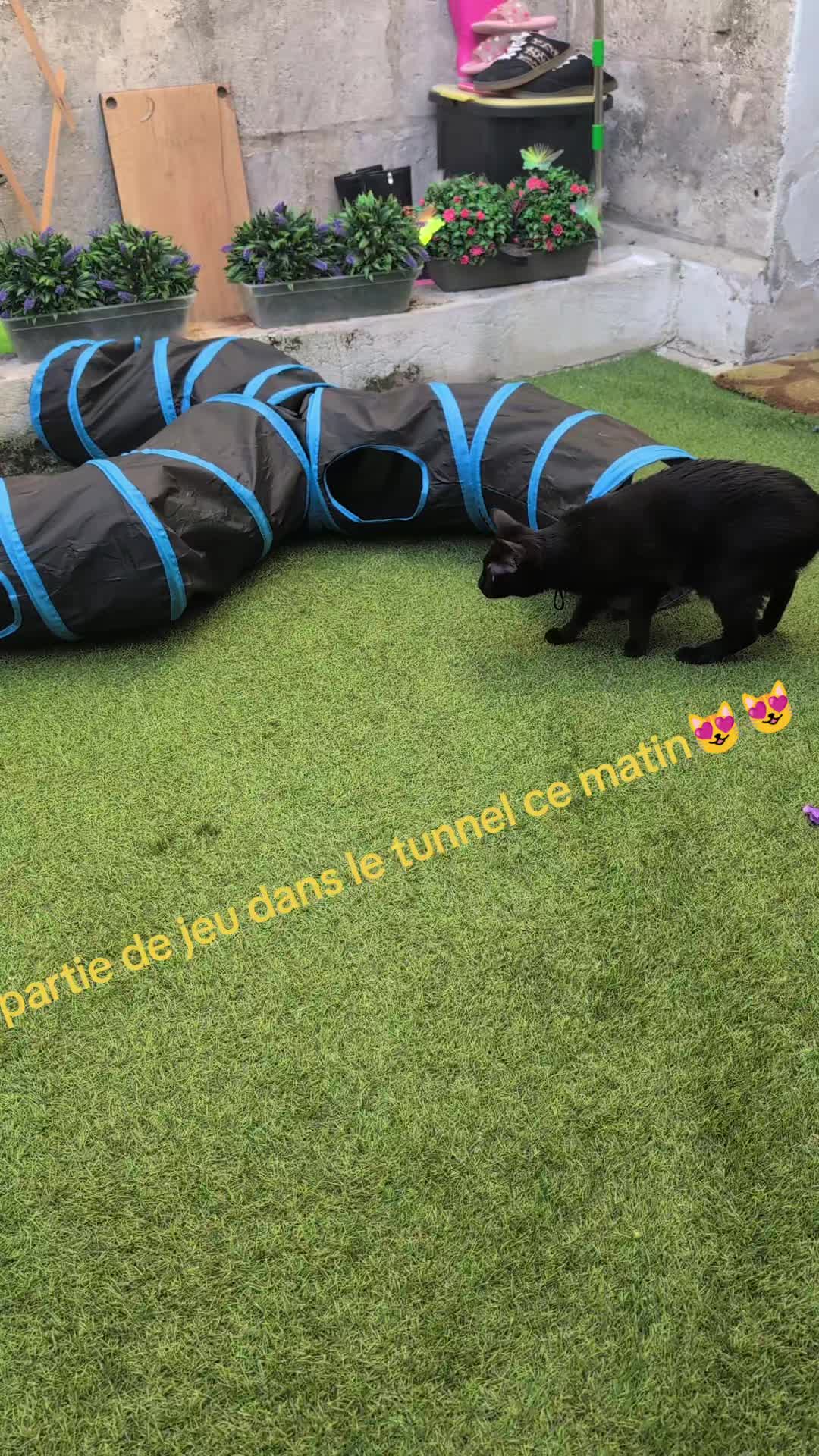 @Cynthia Benedetti