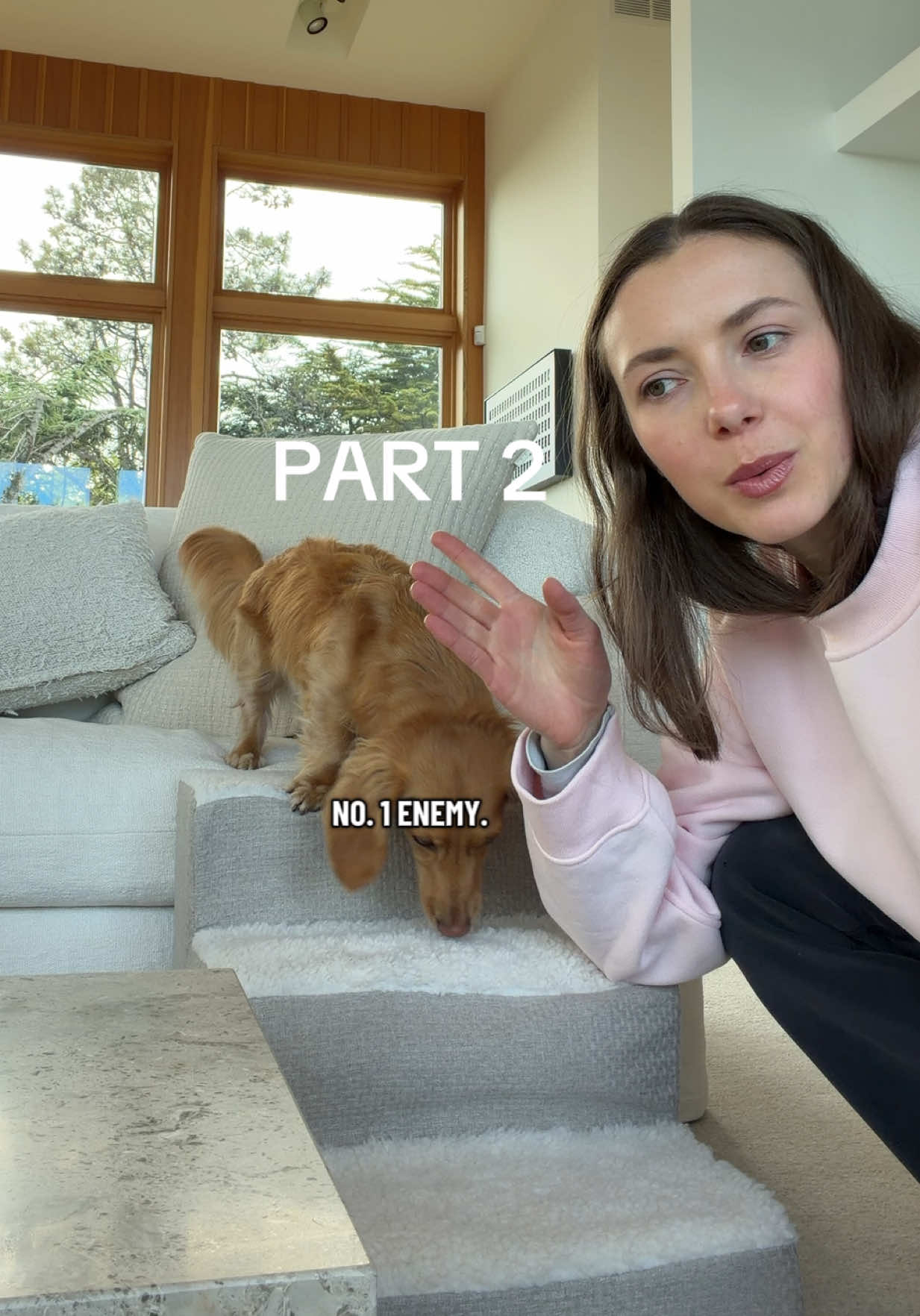 @cashewdachshund