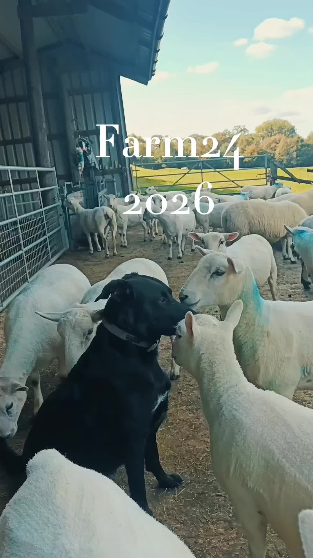 @fieldsforevere42
