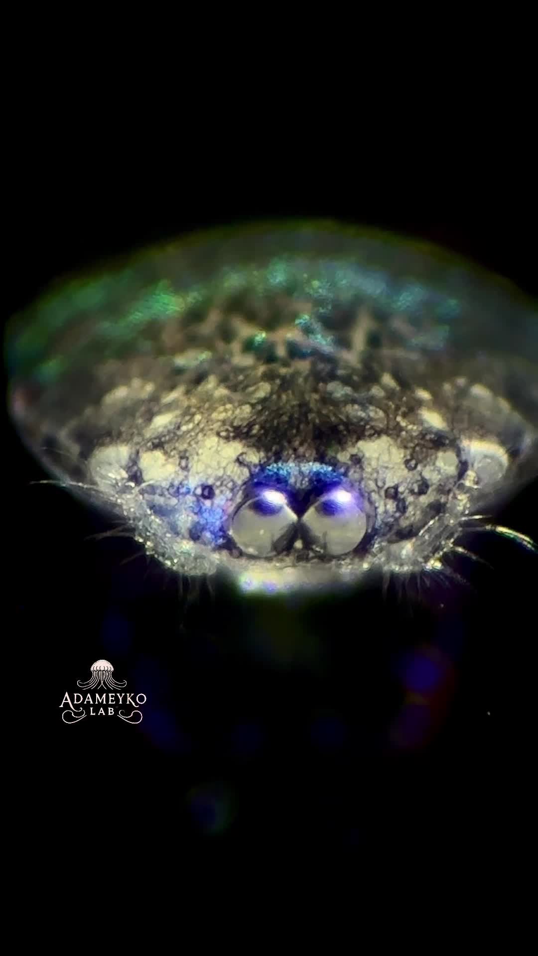 @The_story_of_a_biologist